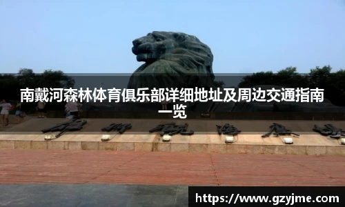 星空官方网站